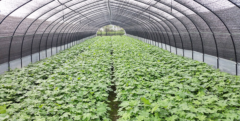 itb8888通博(中国区)官方网站